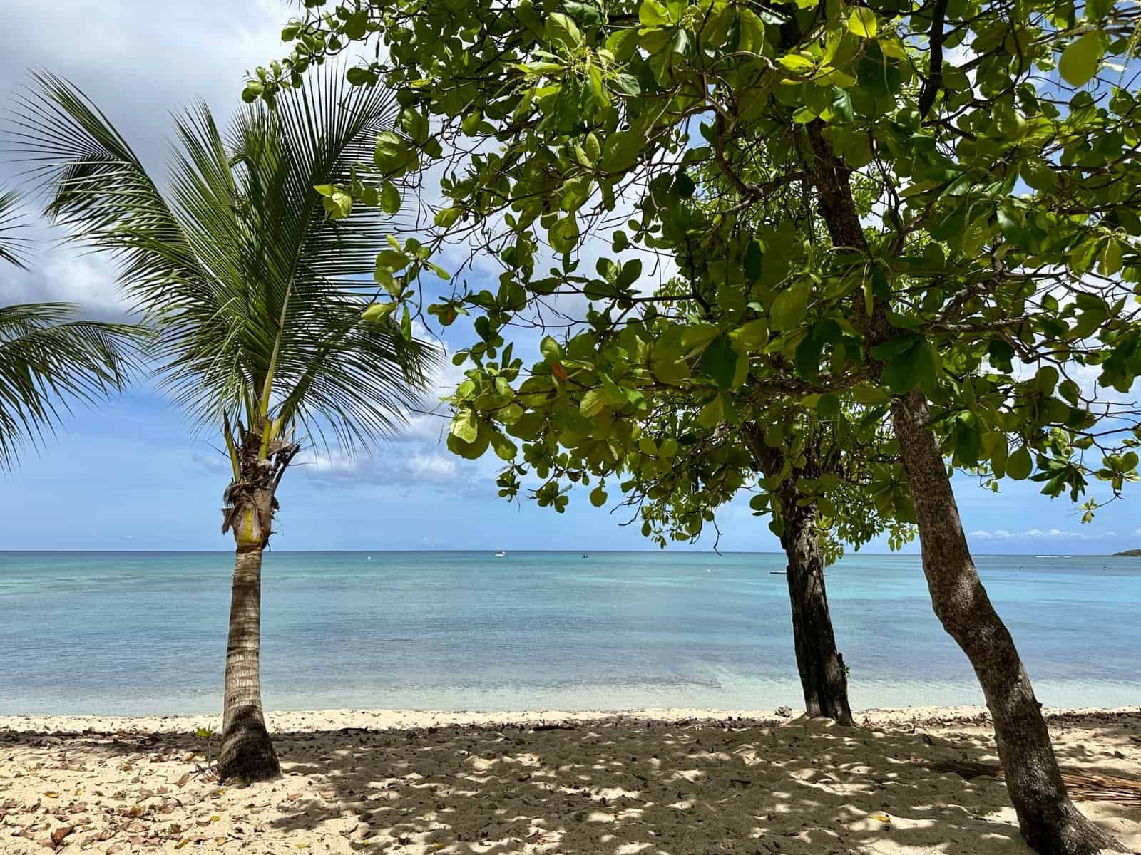 La plage du Souffleur à Grande-Terre