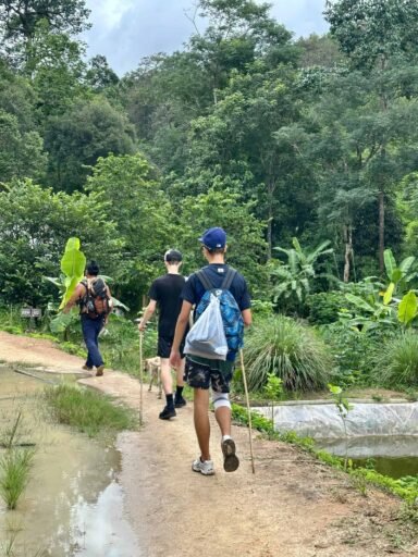 trek vers le village Karen