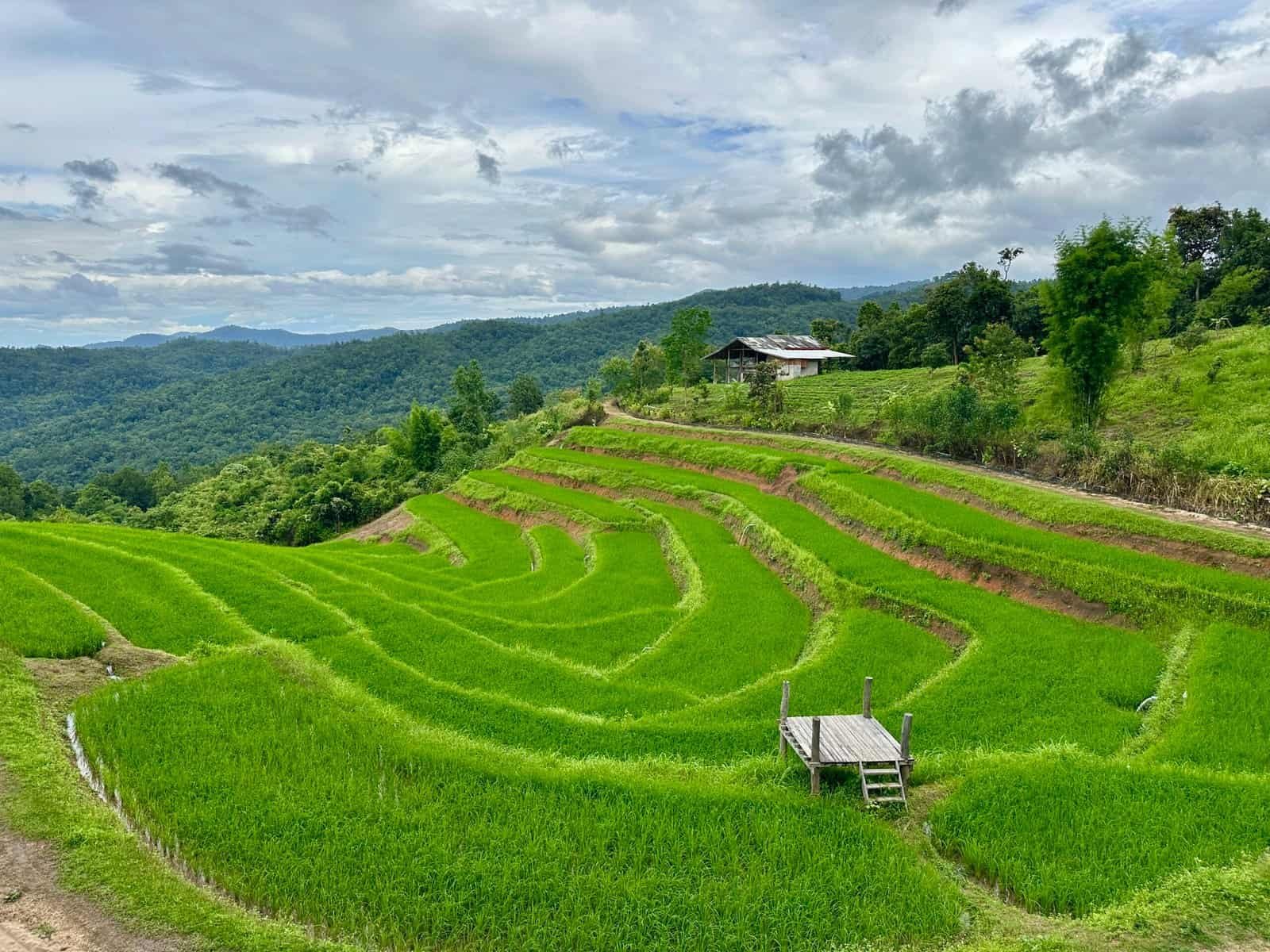 Village Karen