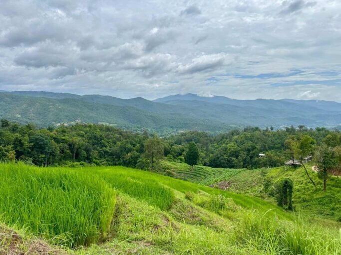 Chiang Mai