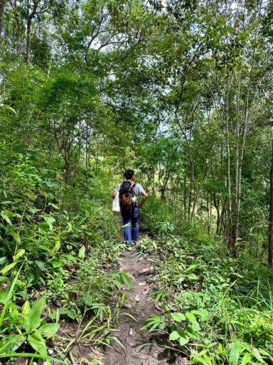 trek à Chiang Mai