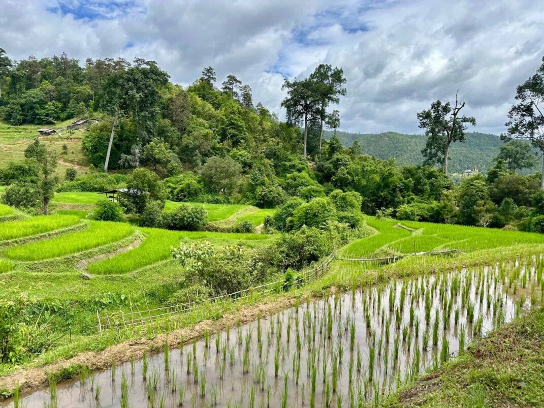 trek à Chiang Mai