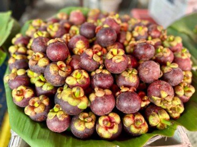IMG_2520 marché à Chiang maI