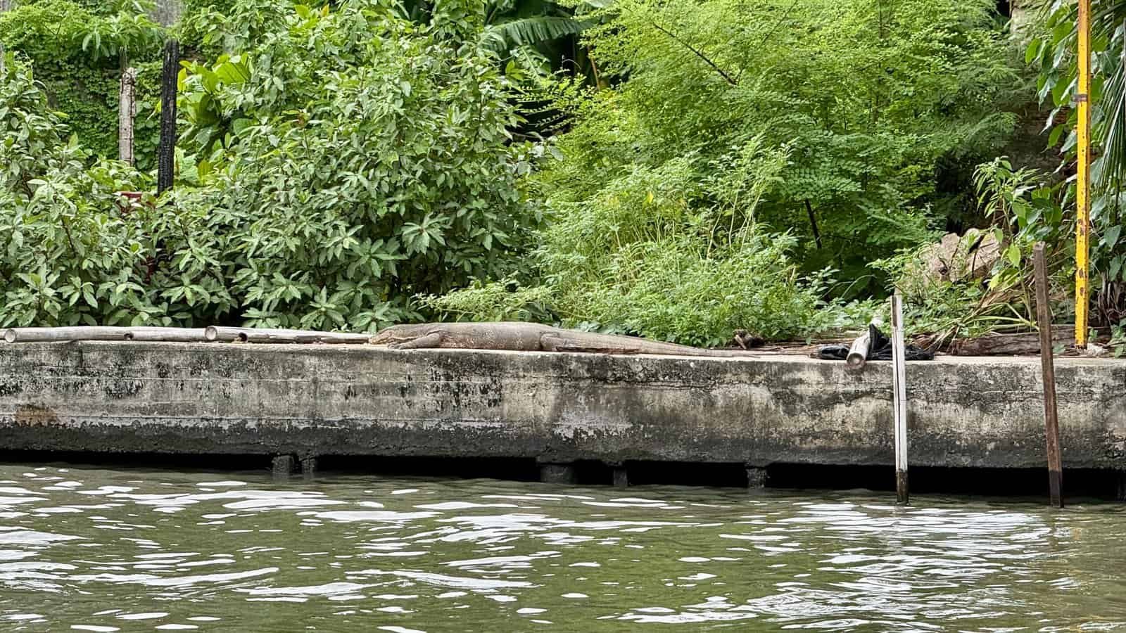 balade en khlong