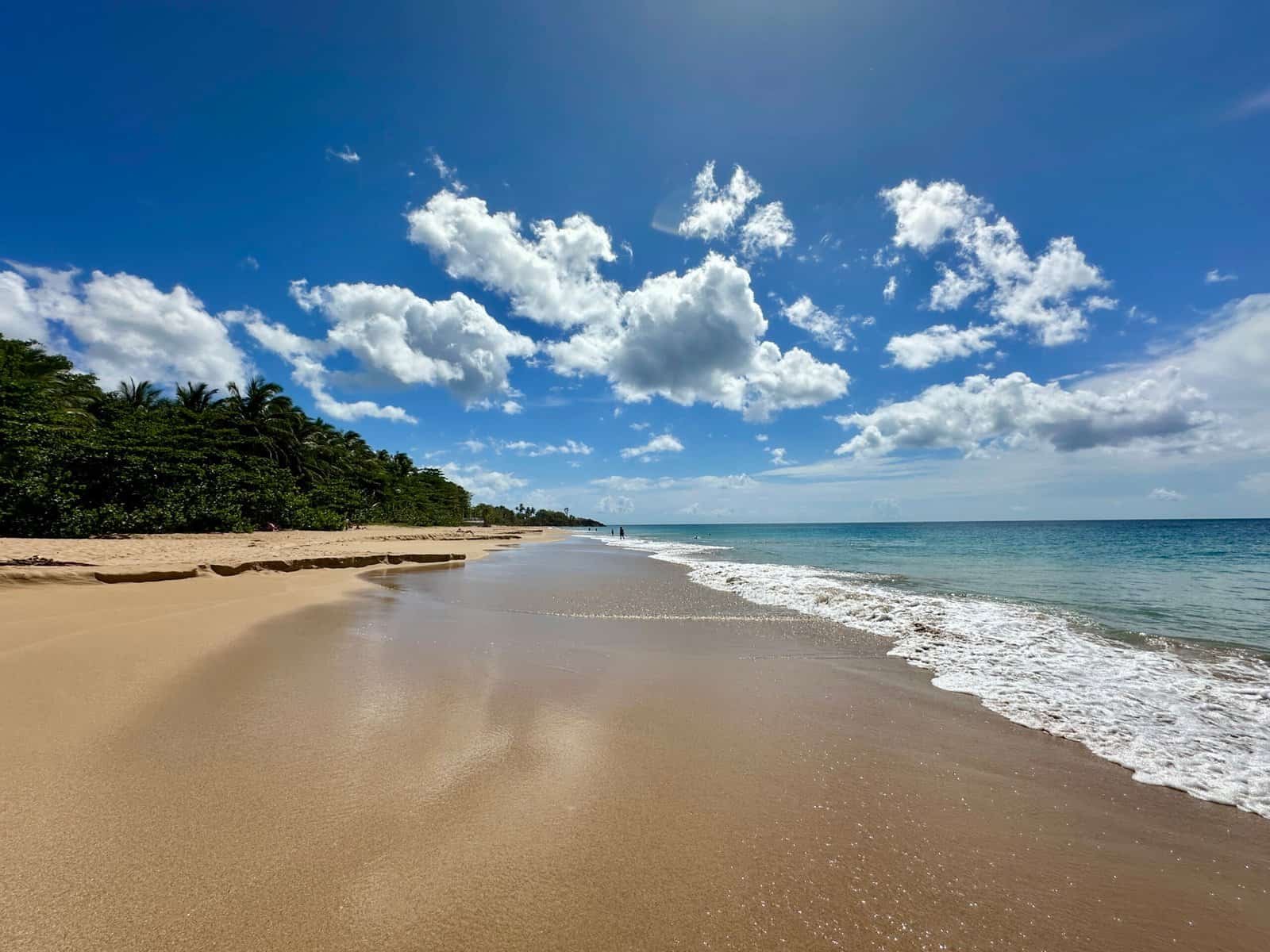 plage de La Perle à Basse-Terre