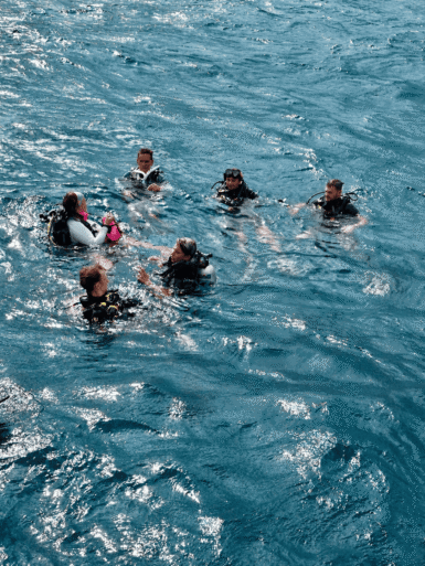 Plongée tropicale en pleine mer French Kiss Divers