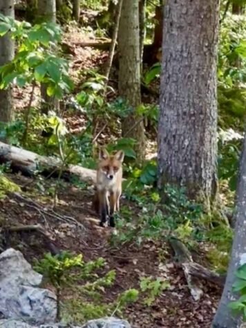 Podcast - carrousel Instagram (34)