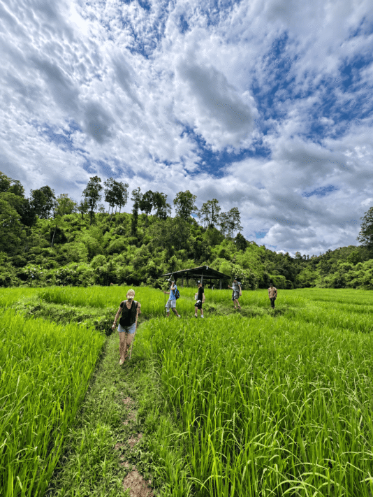 déjeuner pendant le trek à Chiang Mai