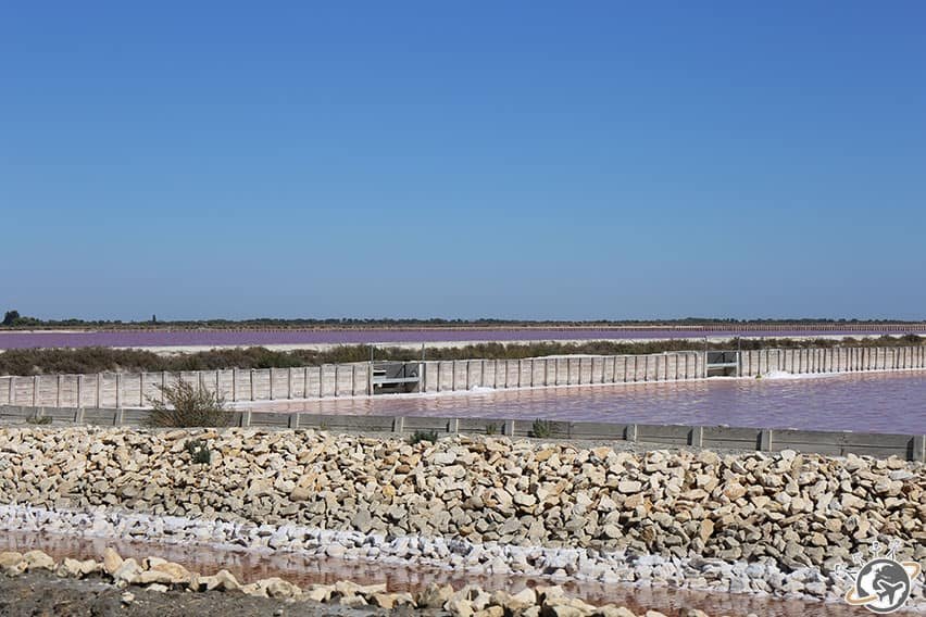 Salin d'Aigues-Mortes