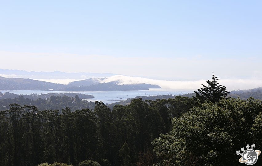 Sur la route de muir woods près de San Francisco