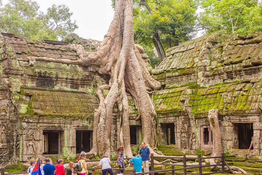 Ta Prohm en famille
