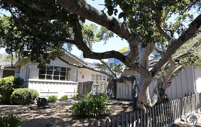 Le centre-ville de Carmel-by-the-sea en Cali