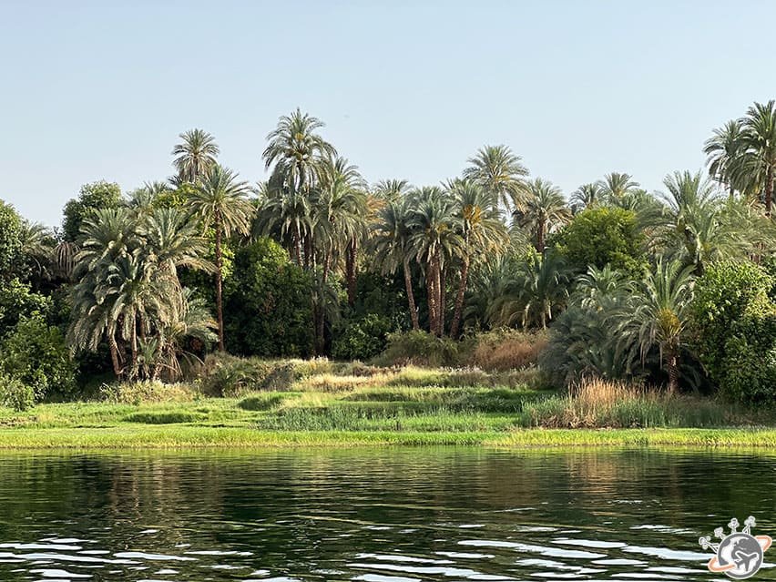 Le Nil à bord d'une dahabeya