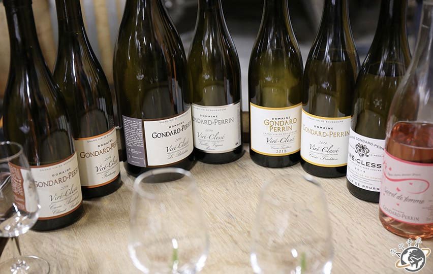 degustation de vin Viré Clissé lors du pique nique organisé par l'équipe du Relais de Montmartre de Frédéric Carrion