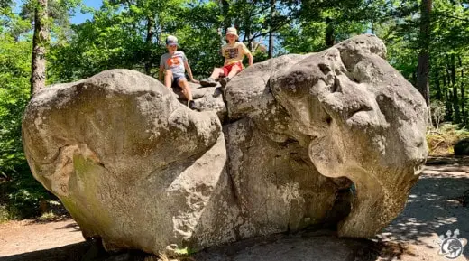 Top 18 des choses à faire en famille à Fontainebleau