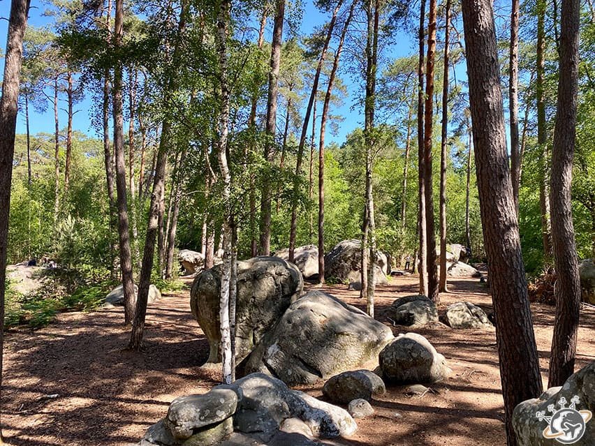 Le site d'Apremont à Fontainebleau