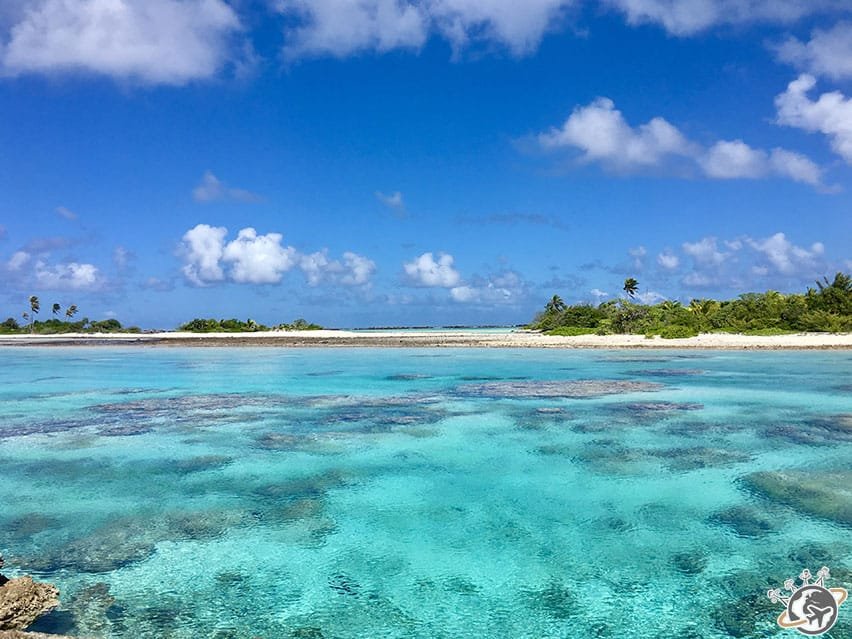 l'ile aux récifs