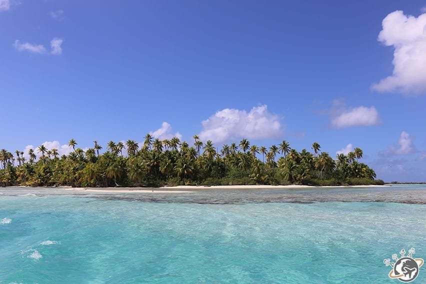 l'ile aux récifs