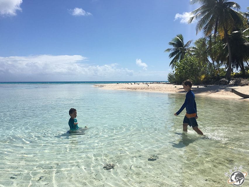 L'ile aux récifs