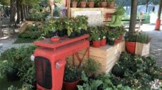 La belle expo Jardins Jardin