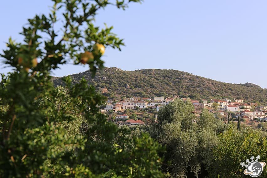 Liotrivi Boutique hotel