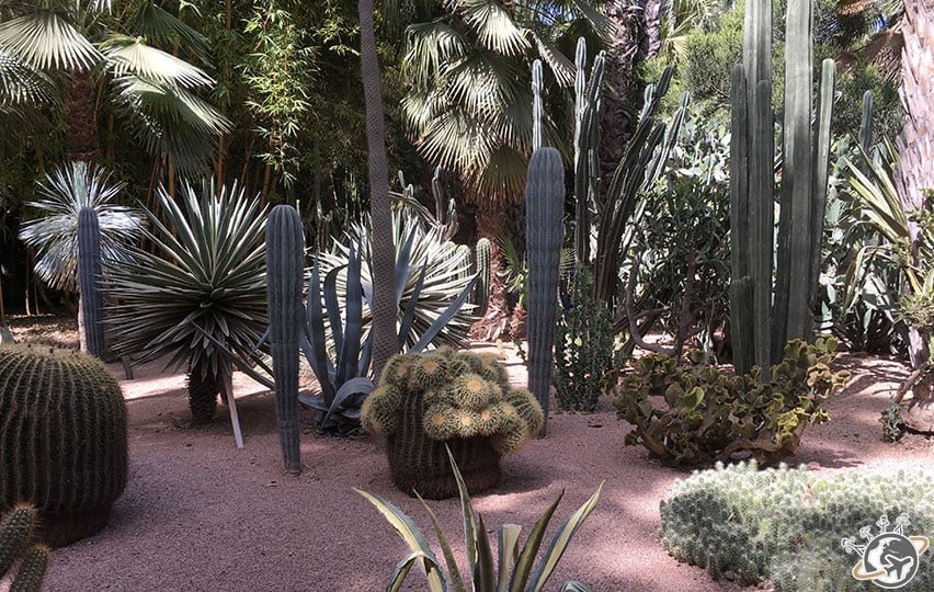 Le Jardin Majorelle