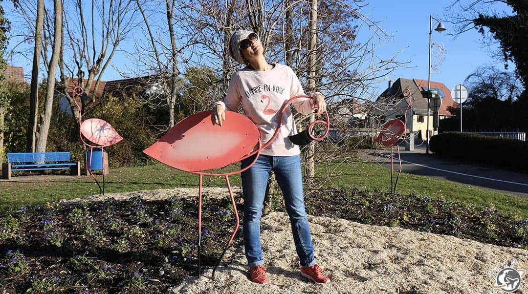 moi et les flamands roses