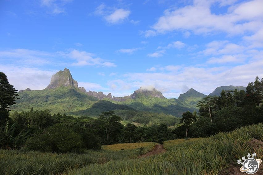 Le col des 3 cocotiers