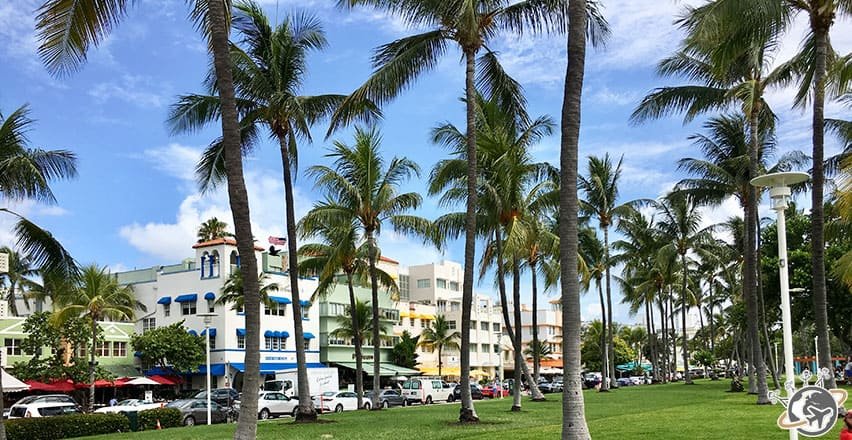 Ocean Drive