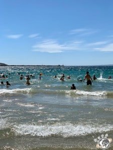La Plage des Catalans