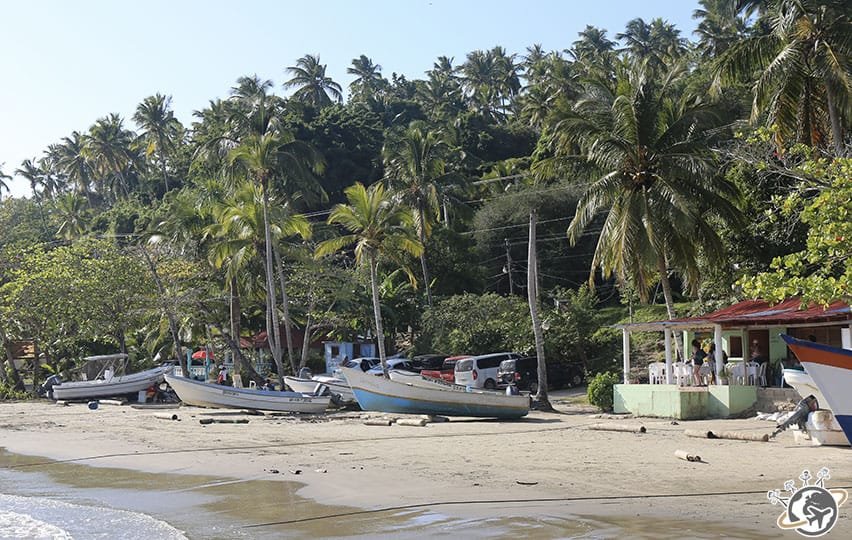 Cayo Levantado à Samana, République dominicaine