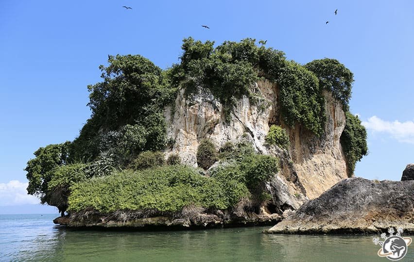 Le Parc National de Los Haitises au large de Samana dans le Nord de la République dominicaine