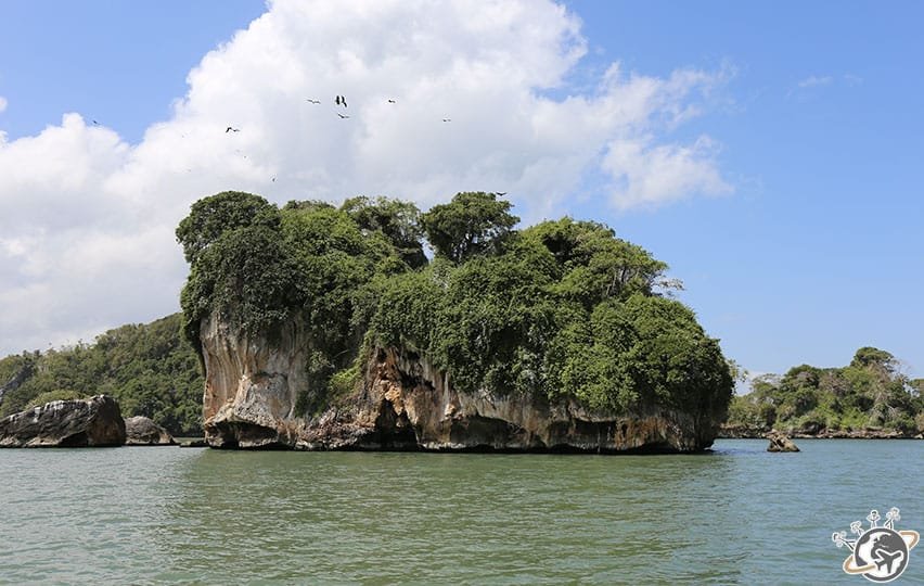 Le Parc National de Los Haitises au large de Samana dans le Nord de la République dominicaine