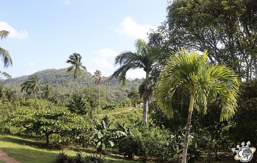 Sortie quad à Las Terrenas, Samana, Répblique dominicaine