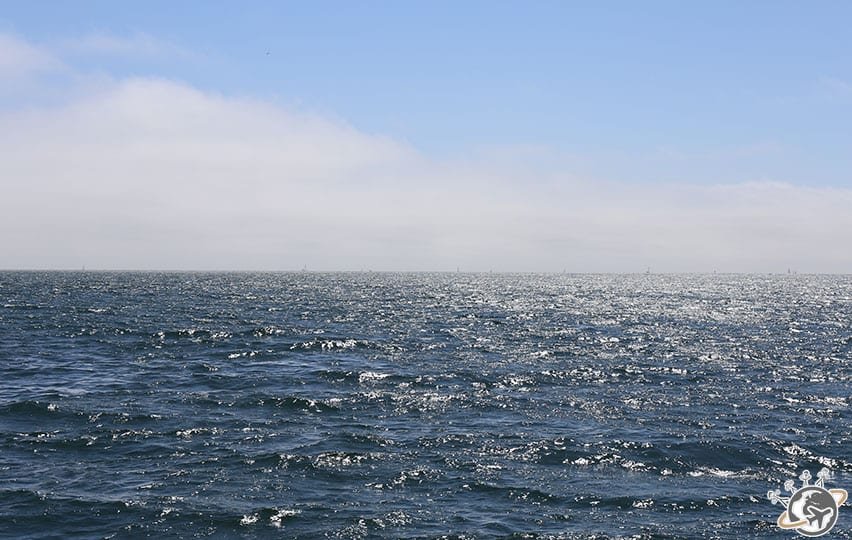 Une belle croisière dans la baie de Santa Barbara en Californie