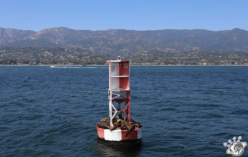 Une belle croisière dans la baie de Santa Barbara en Californie
