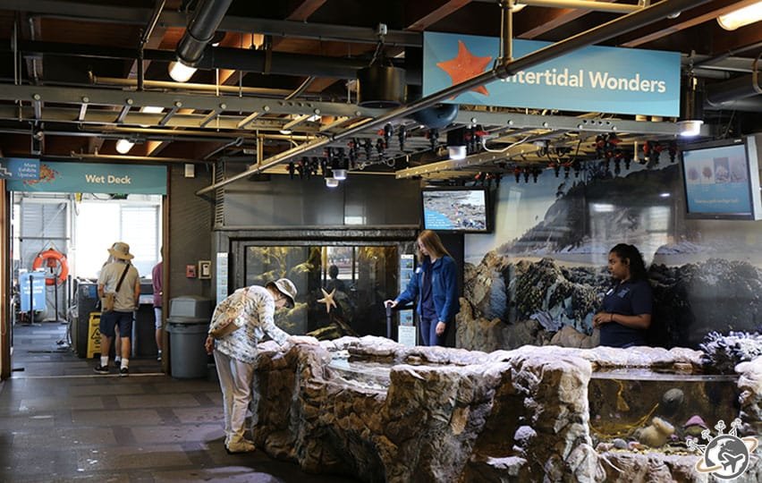 Le Tea Warner Sea Center de Santa Barbara en Californie