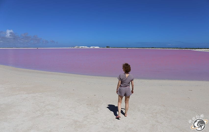 Le lac Rose à Las Coloradas dans le Yucatan au Mexique